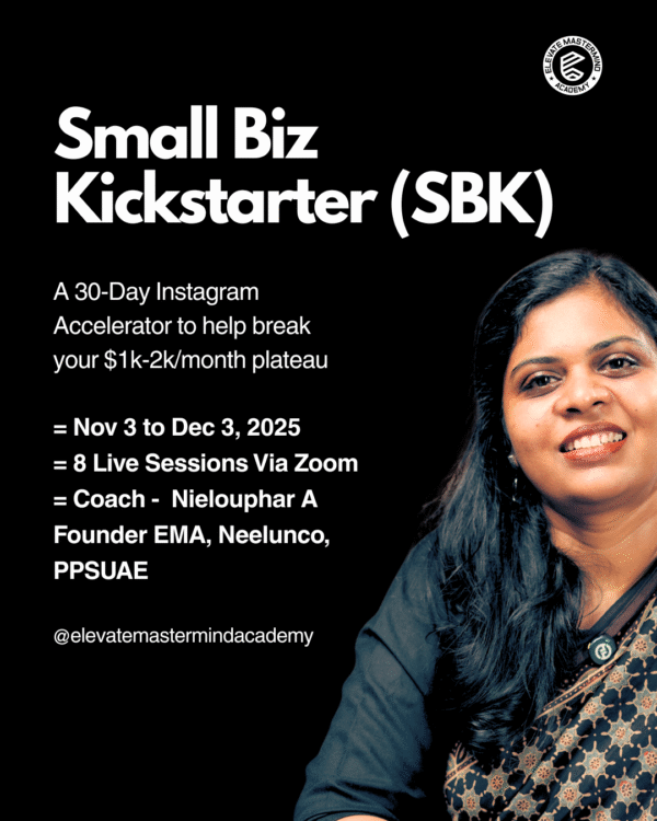 Small Biz Kickstarter (SBK) - Group Coaching Program
